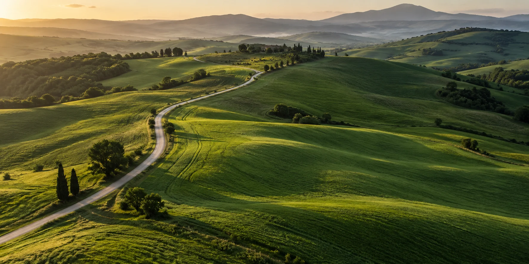 A winding road through green hills at first light